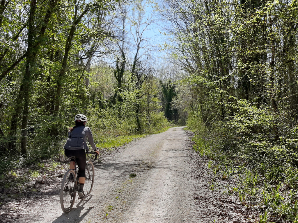 colli ginesini 25 04 2021 (50)