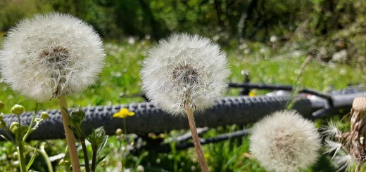 colli ginesini 25 04 2021 (54)