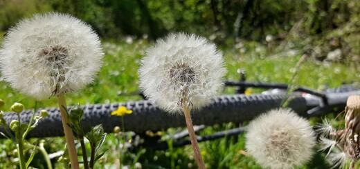 colli ginesini 25 04 2021 (54)