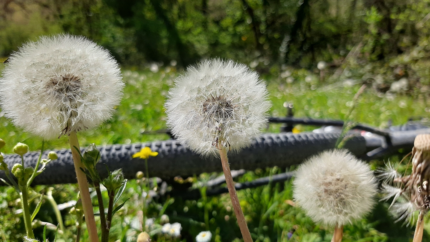 colli ginesini 25 04 2021 (54)