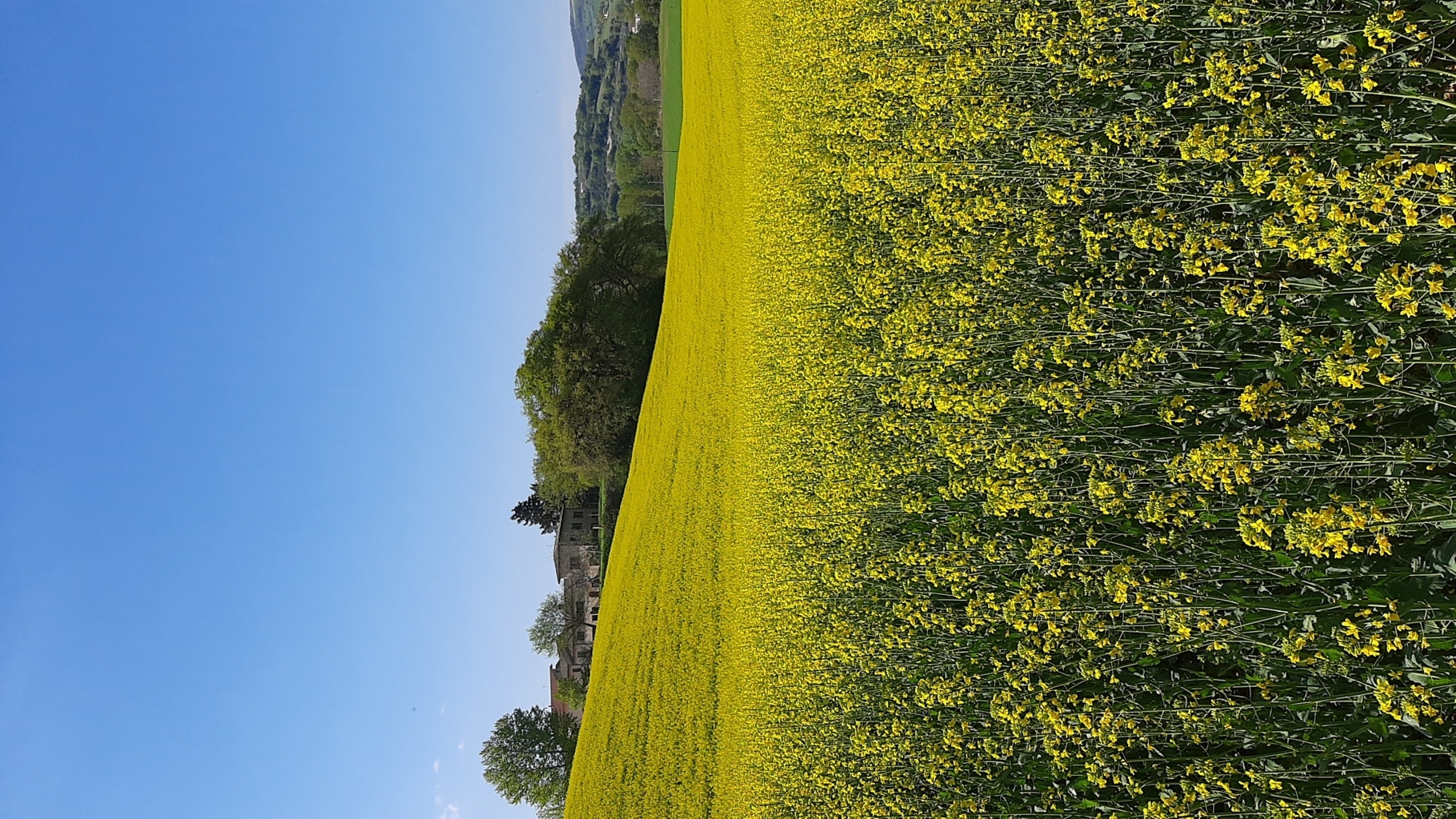 colli ginesini 25 04 2021 (74)