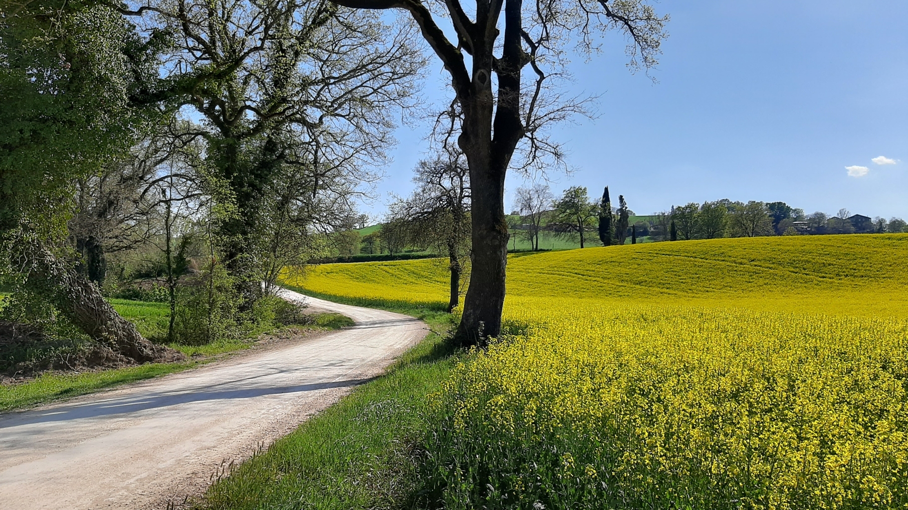 colli ginesini 25 04 2021 (77)