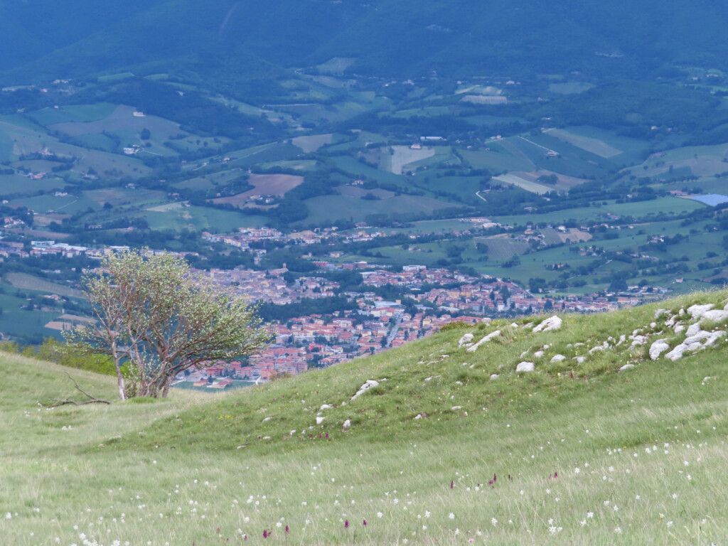 monte gemmo 22 054 2021 (39)