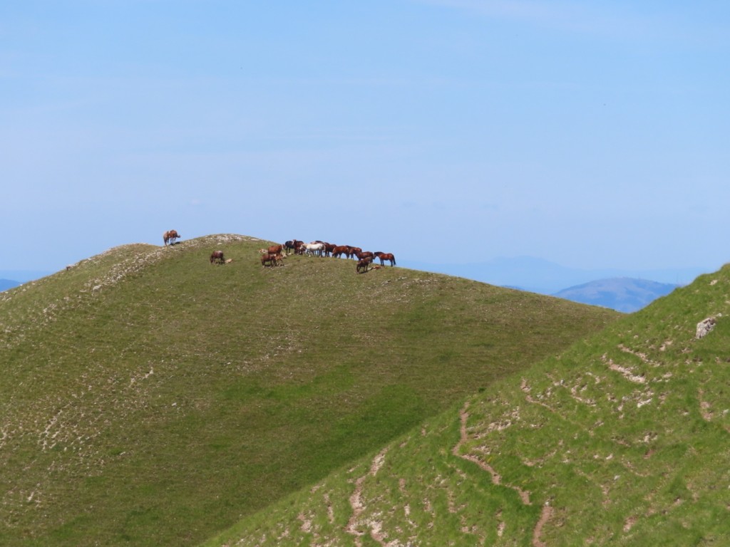 castelluccio (101)