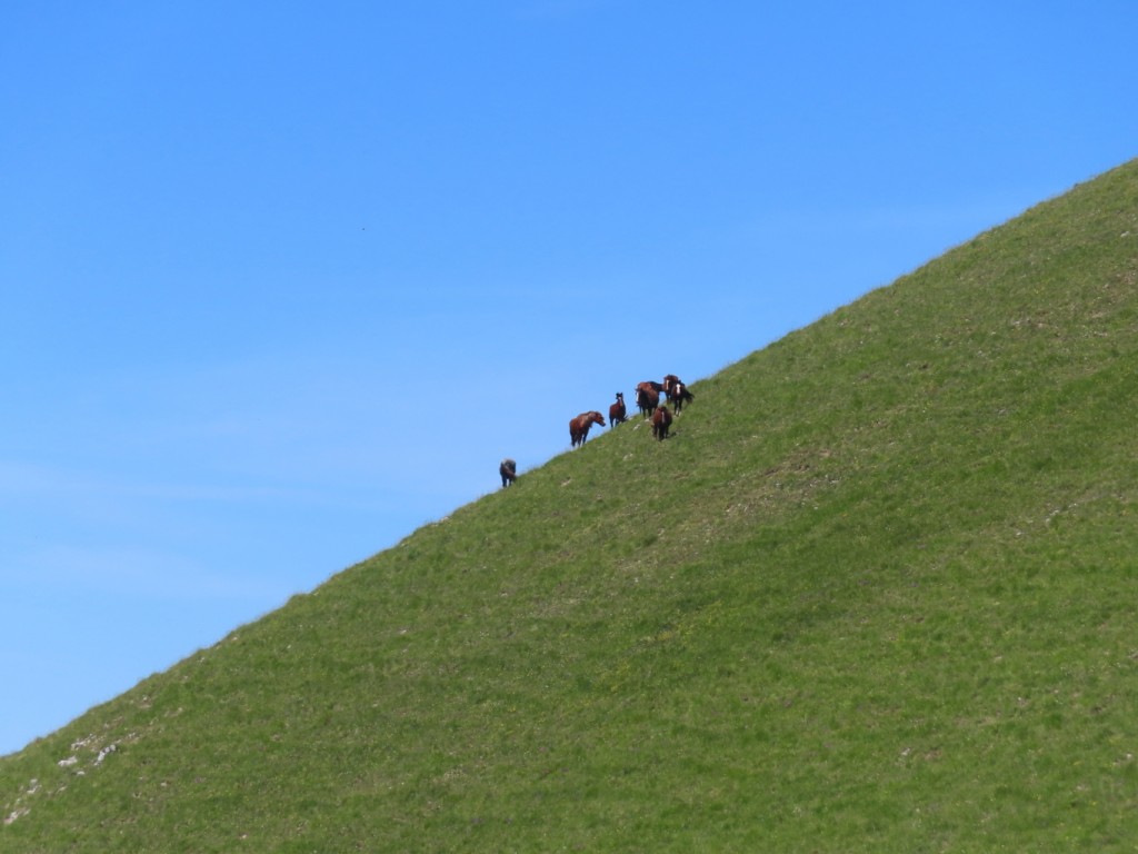 castelluccio (102)