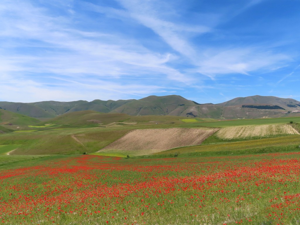 castelluccio (135)