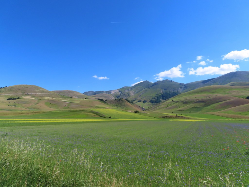 castelluccio (32)