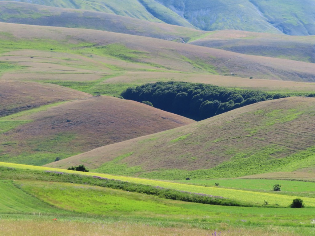 castelluccio (33)