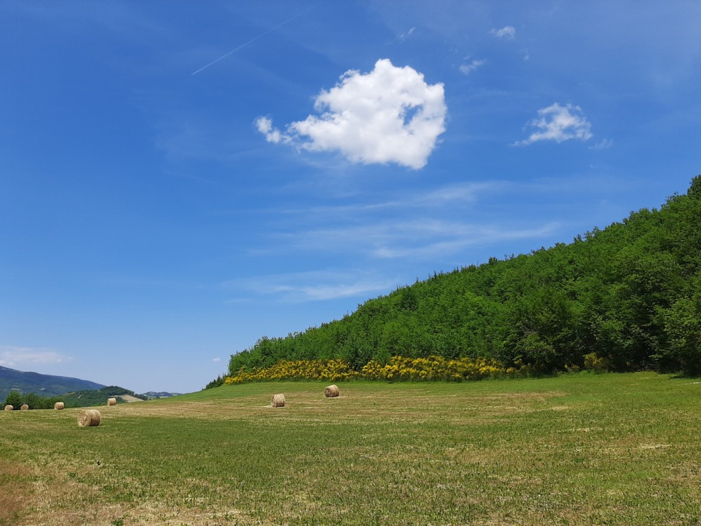 sentiero carbonaie 13 06 2021 (108)