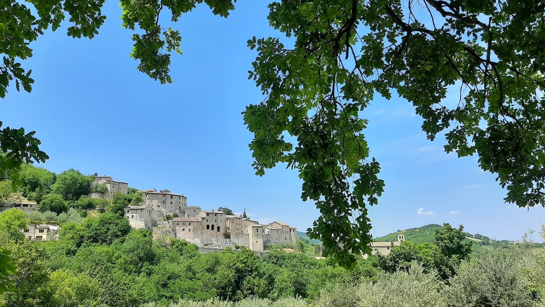 sentiero carbonaie 13 06 2021 (109)