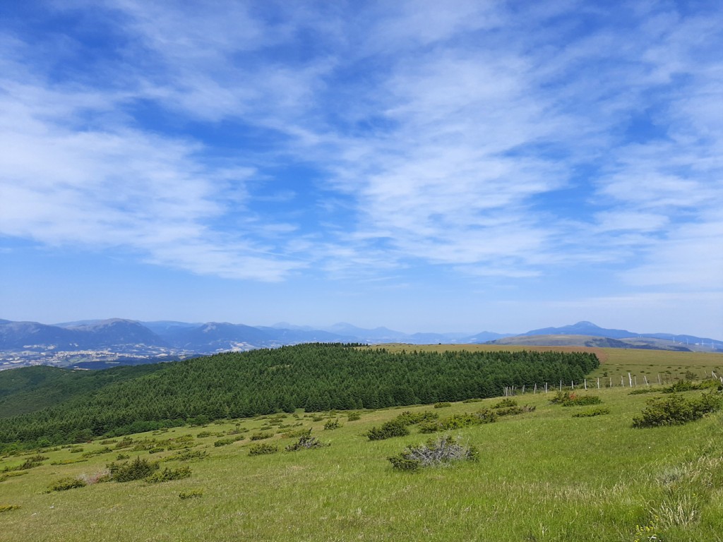 sentiero carbonaie 13 06 2021 (31)