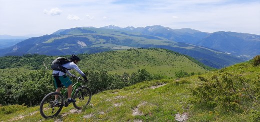 sentiero carbonaie 13 06 2021 (71)