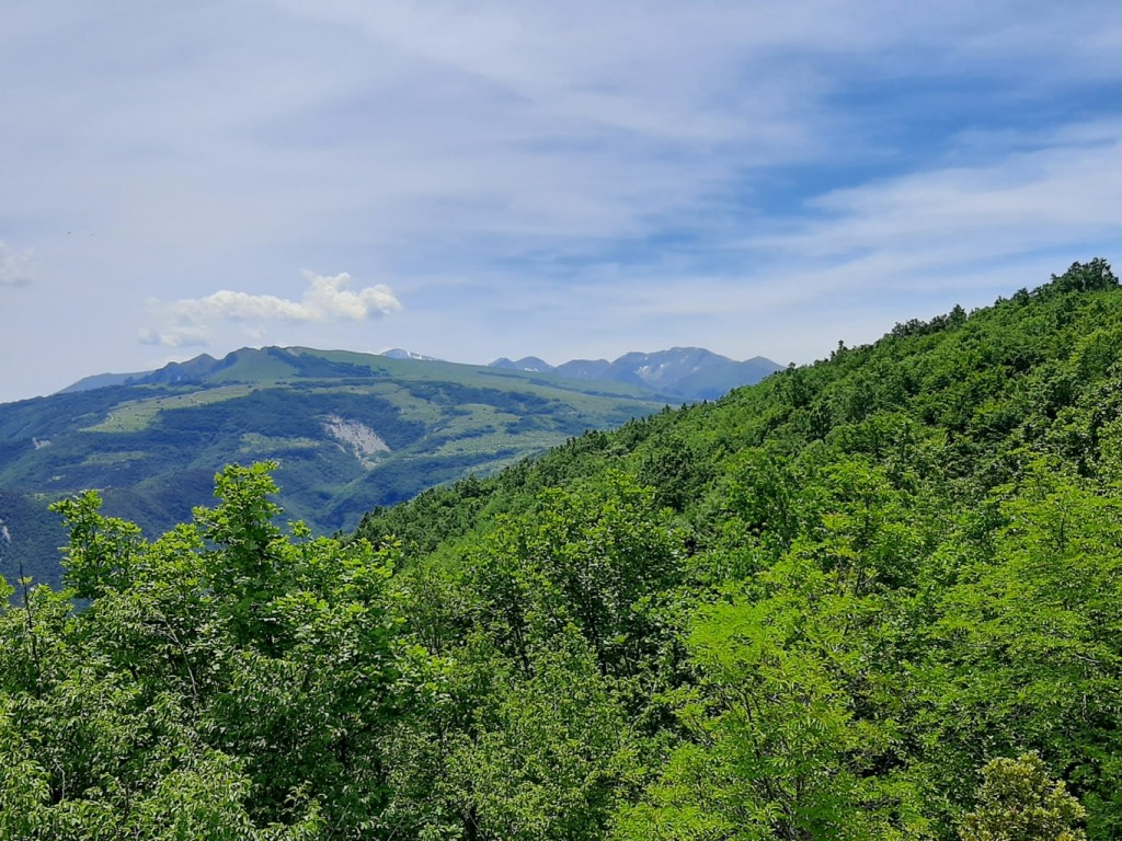 sentiero carbonaie 13 06 2021 (83)