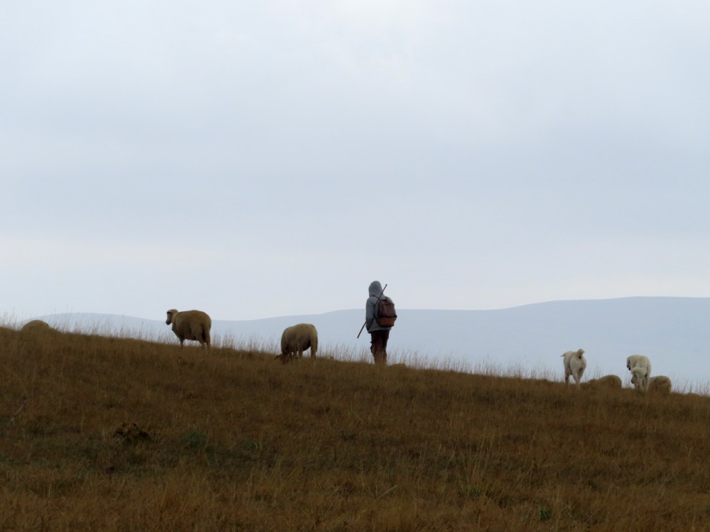 antica via dei pastori - sibillini (86)