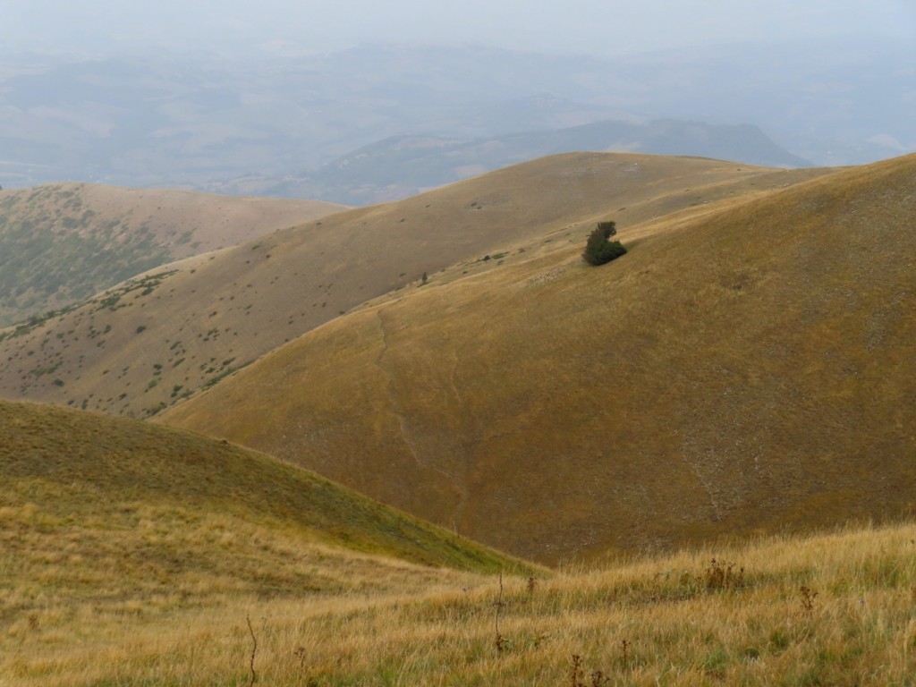 antica via dei pastori - sibillini (90)