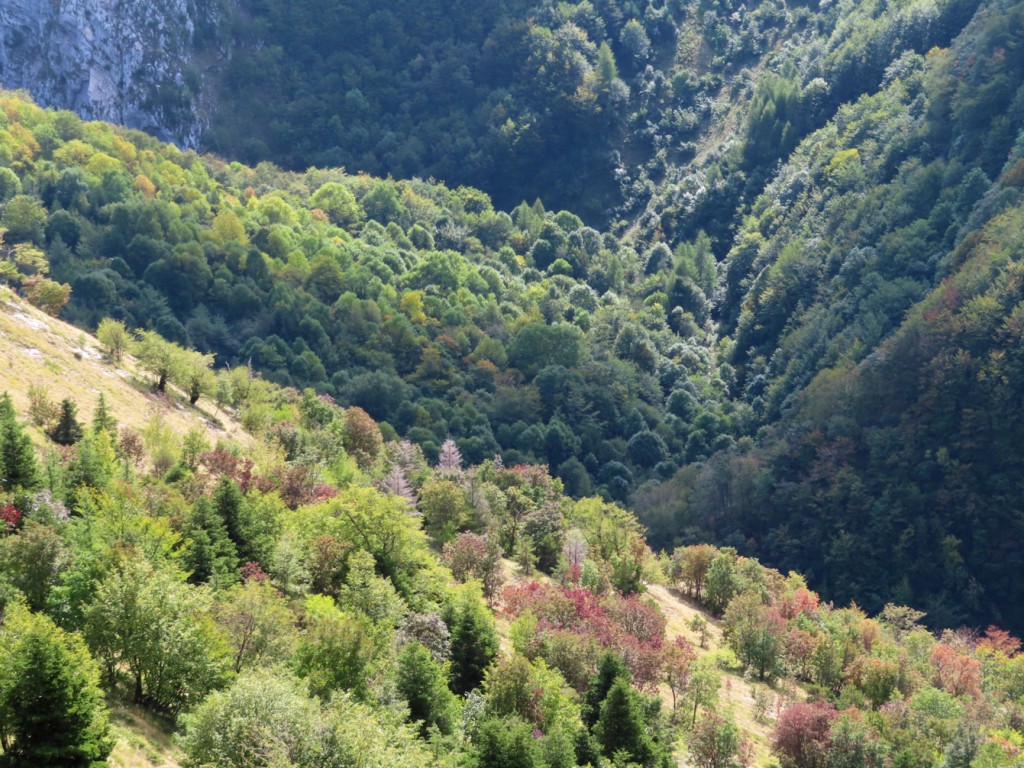 VALLE DELL'AMBRO 02 10 2021 (119)