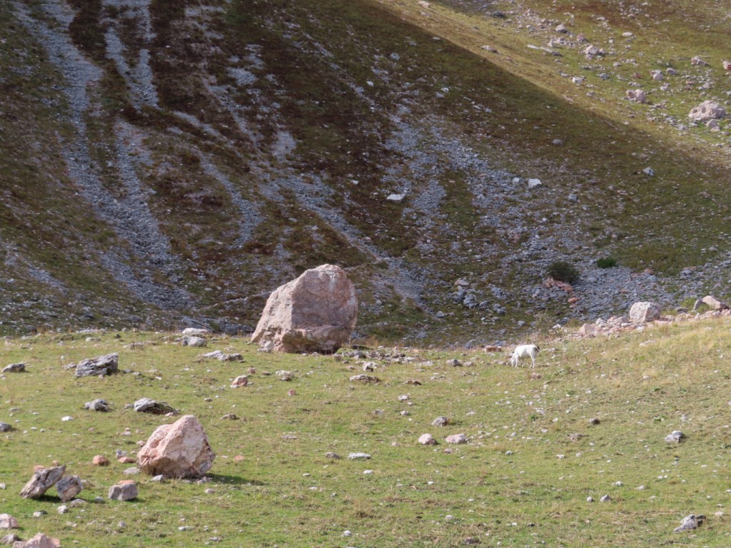 VALLE DELL'AMBRO 02 10 2021 (137)