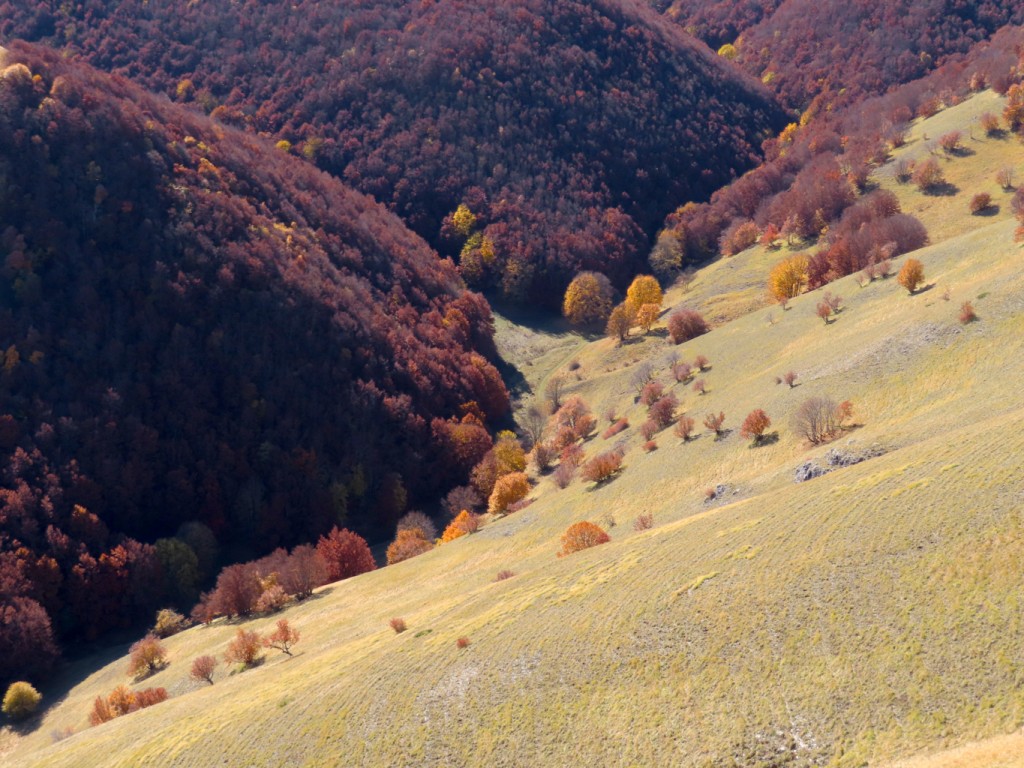 SIBILLINI VALLE ACQUA GILARDA (53)