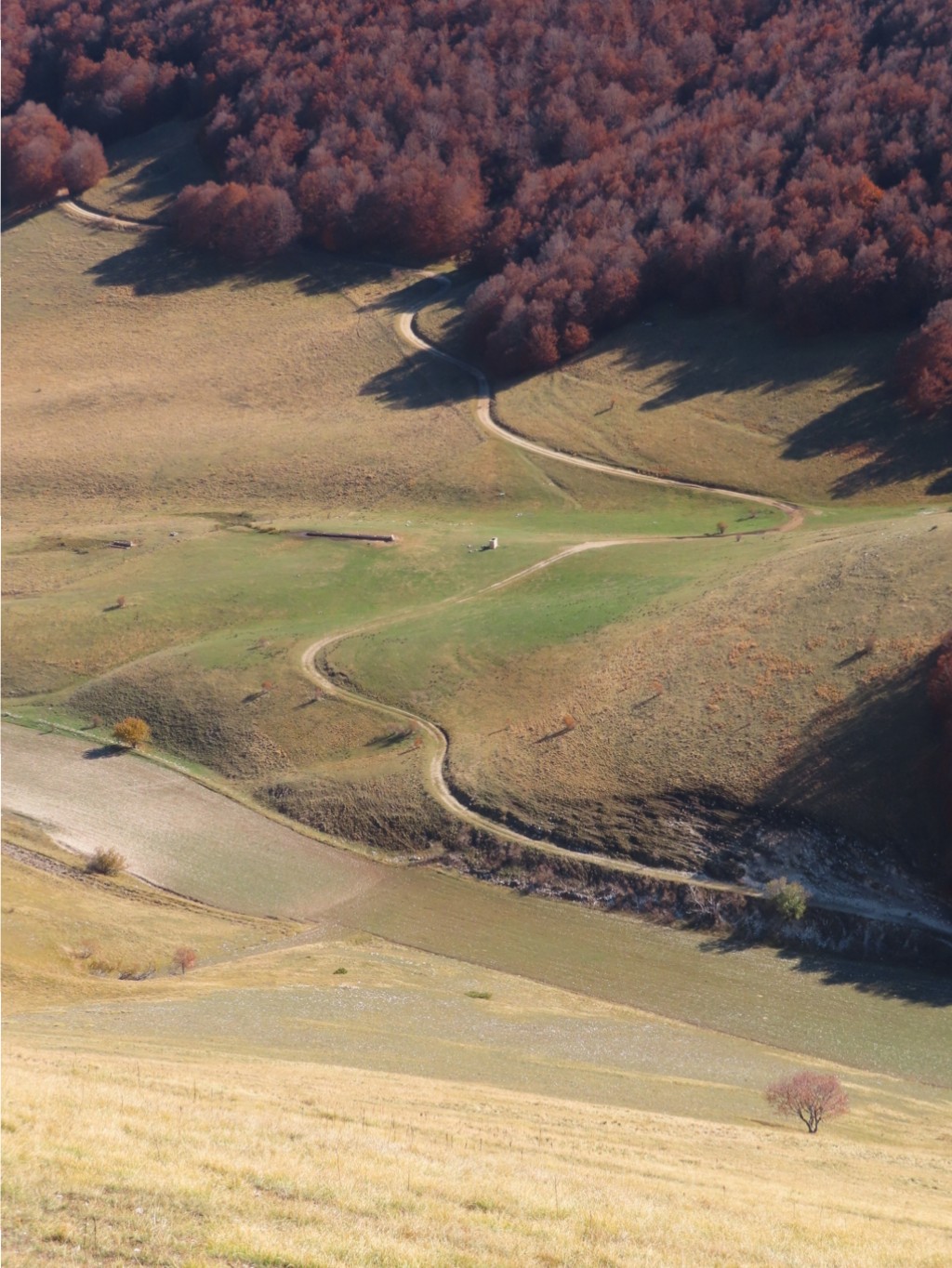 SIBILLINI VALLE ACQUA GILARDA (57)