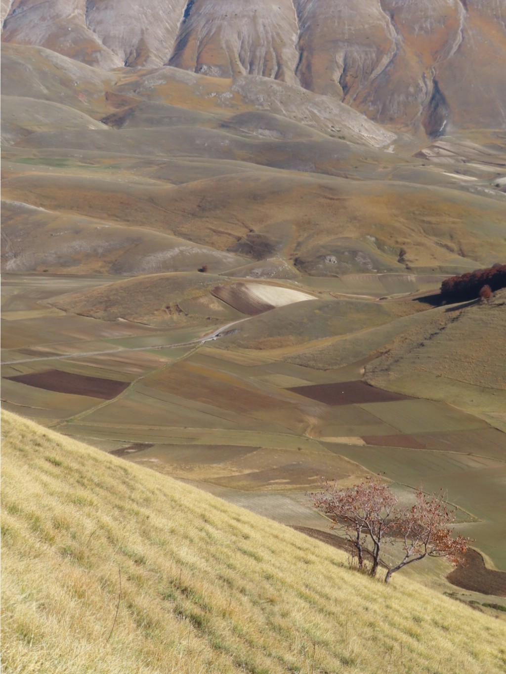 SIBILLINI VALLE ACQUA GILARDA (59)