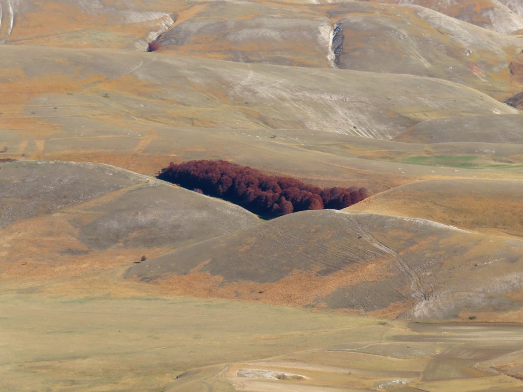 SIBILLINI VALLE ACQUA GILARDA (66)