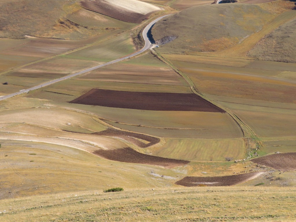 SIBILLINI VALLE ACQUA GILARDA (70)