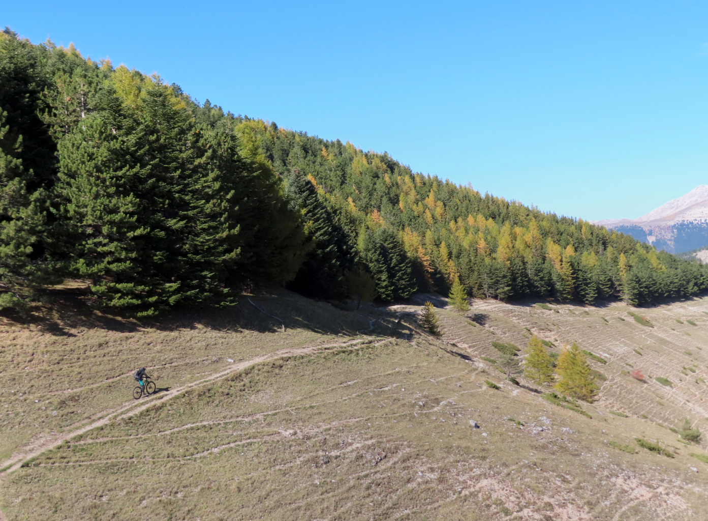 SIBILLINI VALLE ACQUA GILARDA (77)