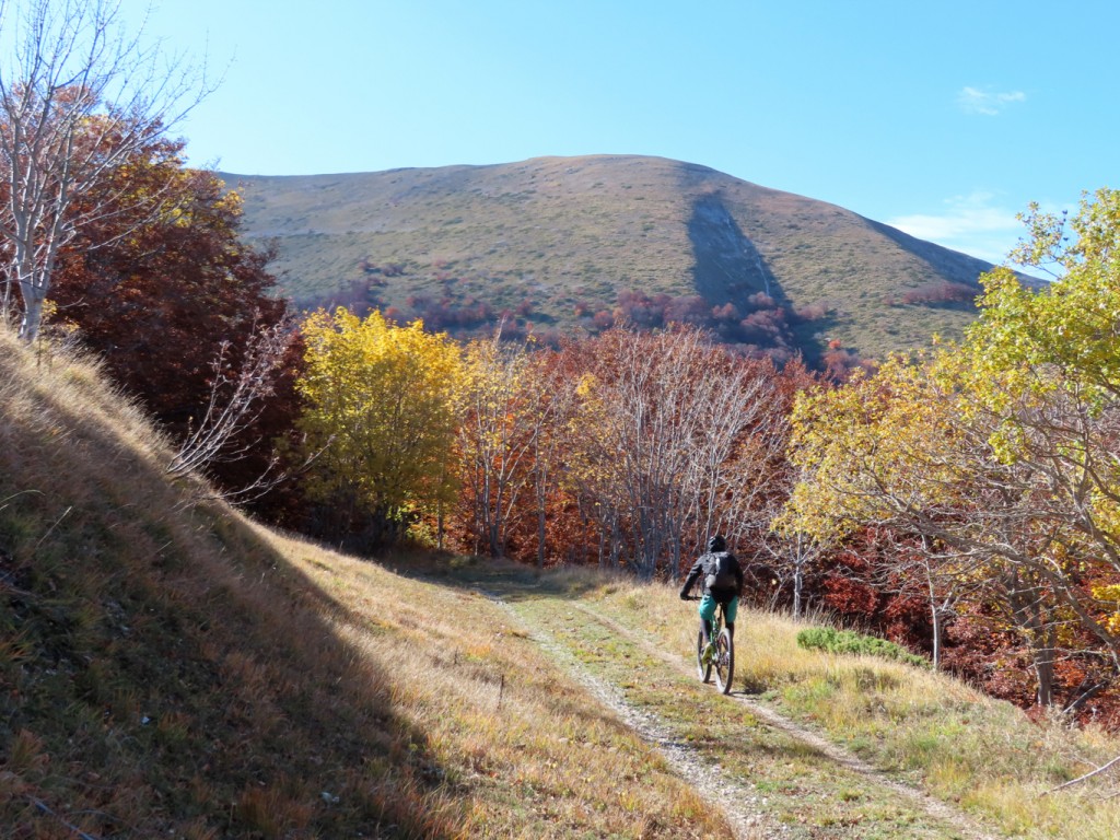 SIBILLINI VALLE ACQUA GILARDA (84)