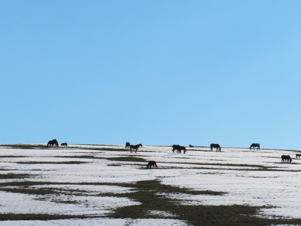 valle dell'elce 18 12 2021 (24)