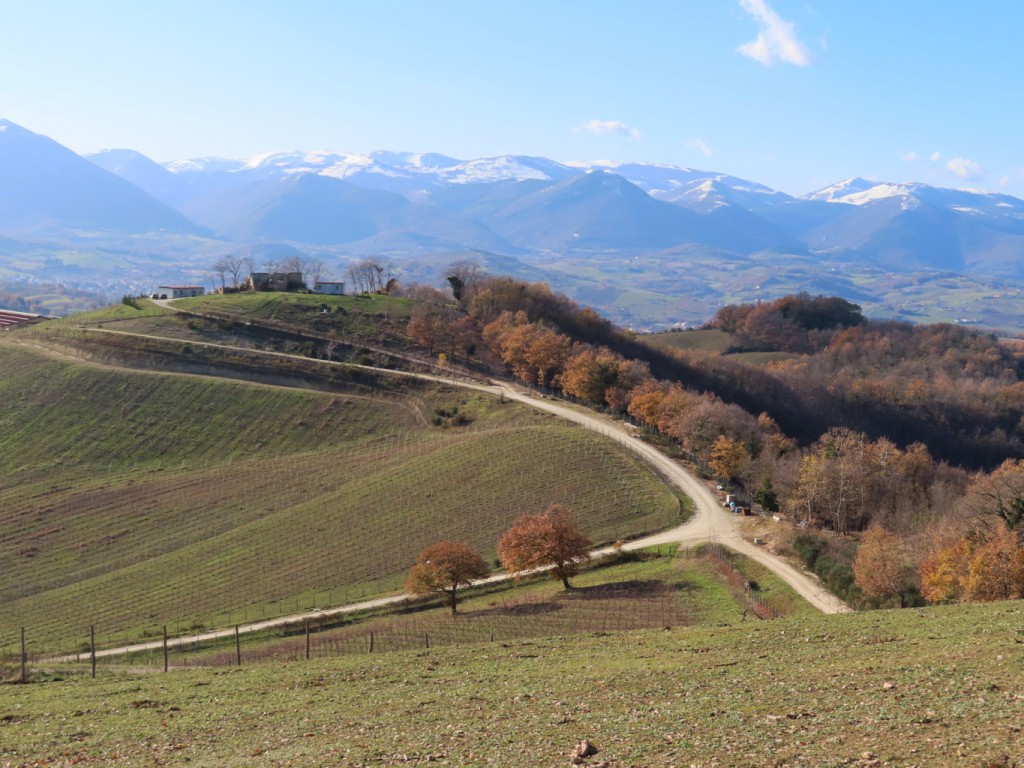 valle dell'elce 18 12 2021 (49)