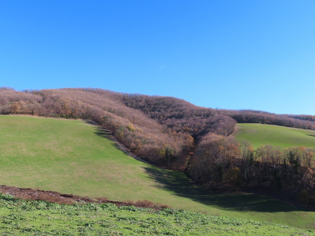 valle dell'elce 18 12 2021 (50)