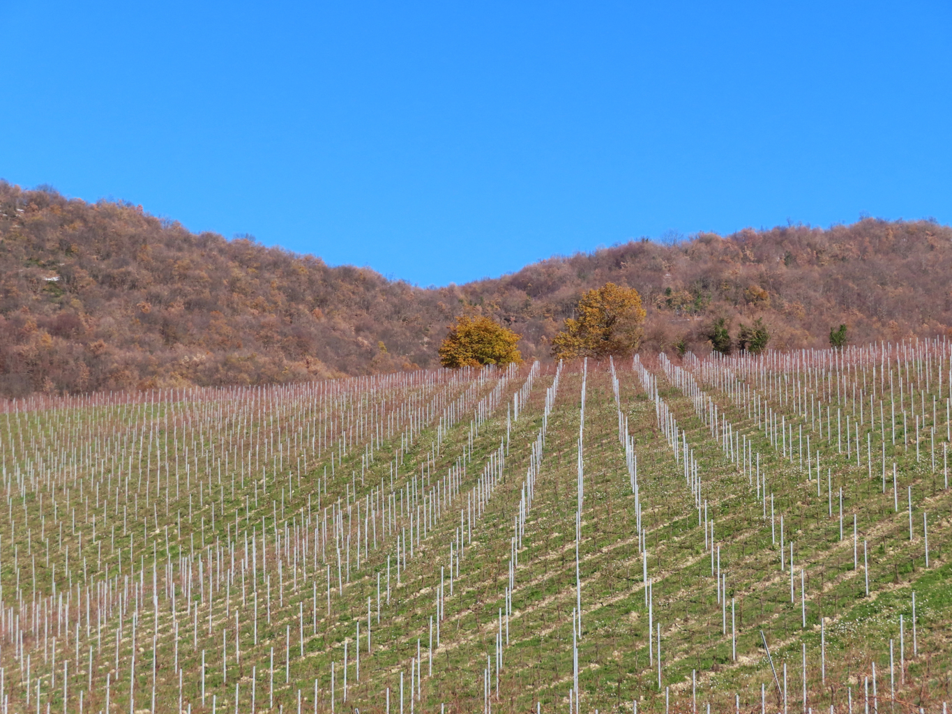 valle dell'elce 18 12 2021 (52)