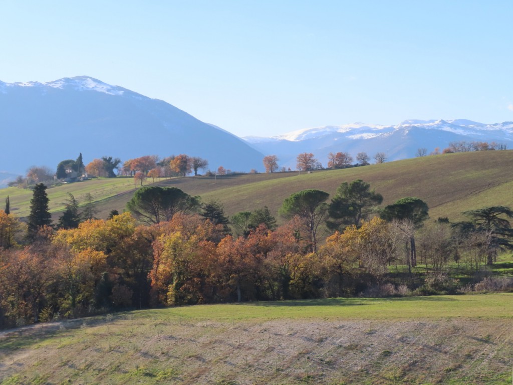 valle dell'elce 18 12 2021 (56)