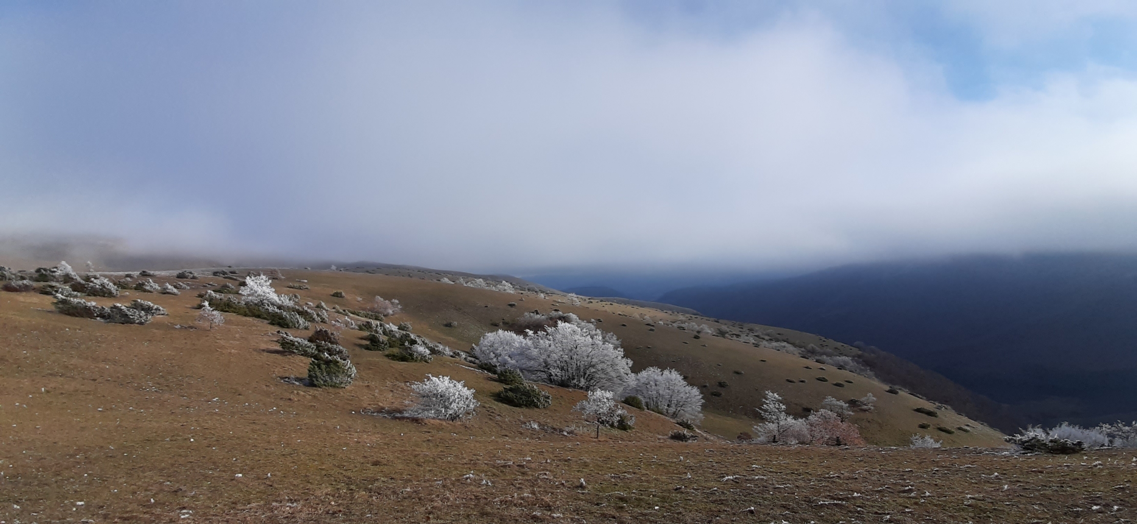 monte di massa 08 01 2022 (13)