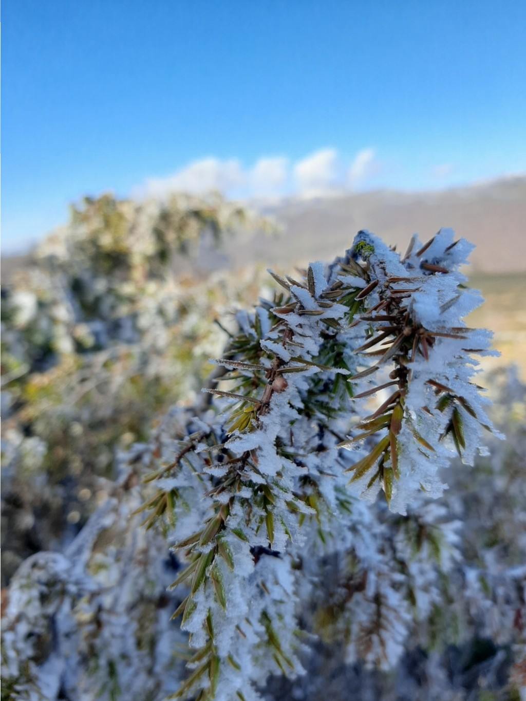 monte di massa 08 01 2022 (2)