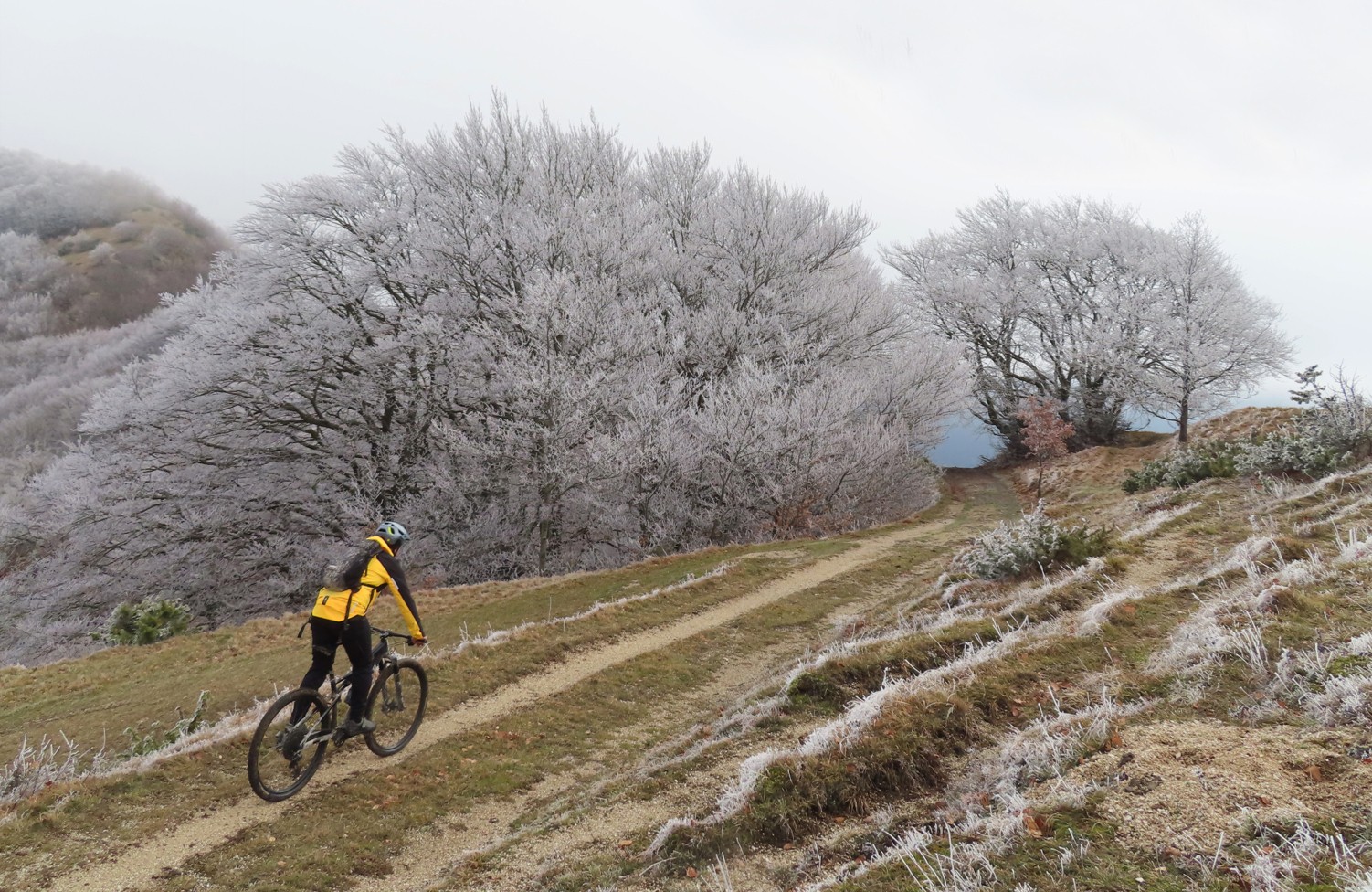 monte di massa 08 01 2022 (32)