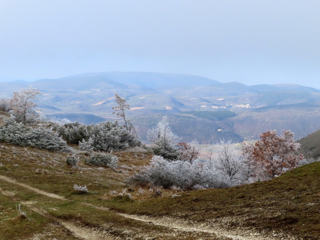 monte di massa 08 01 2022 (41)