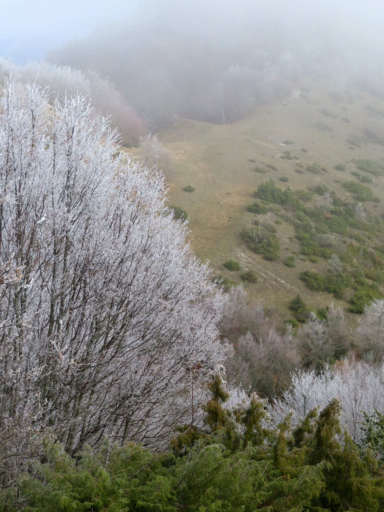 monte di massa 08 01 2022 (59)