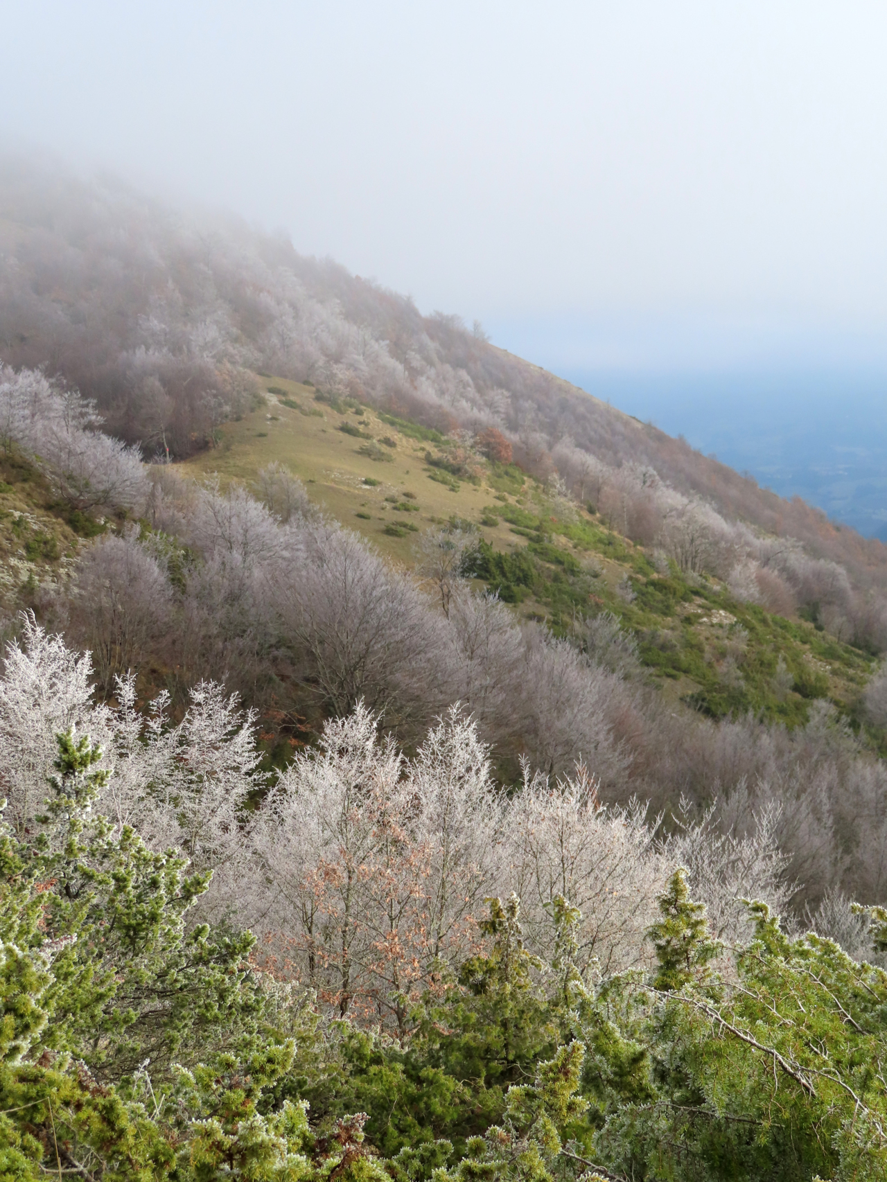 monte di massa 08 01 2022 (61)