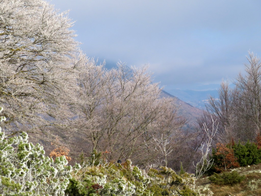 monte di massa 08 01 2022 (62)