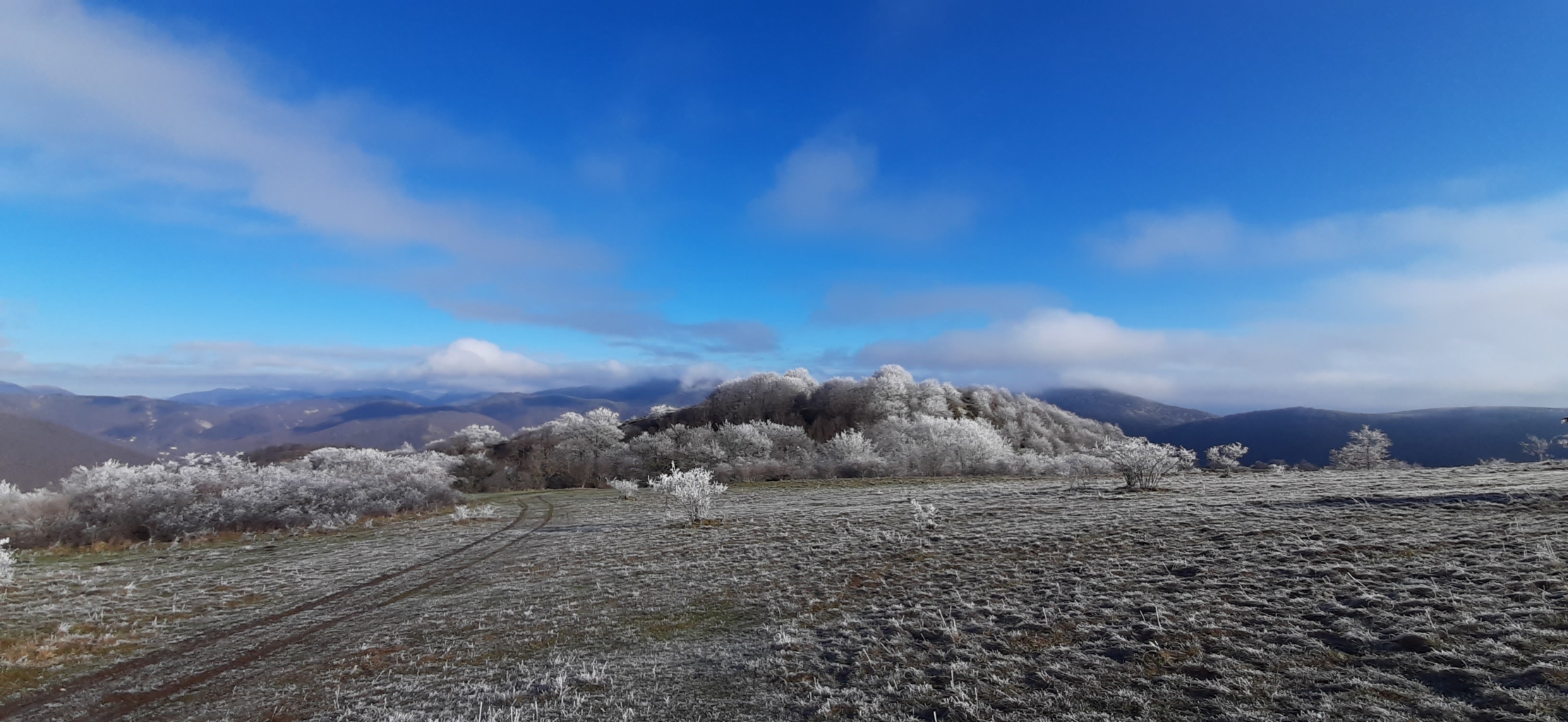 monte di massa 08 01 2022 (7)