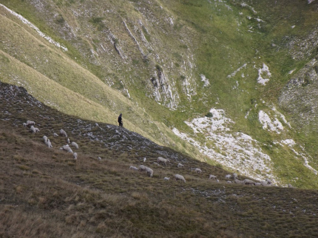 PIZZO 3 VESCOVI 12 08 2015 048