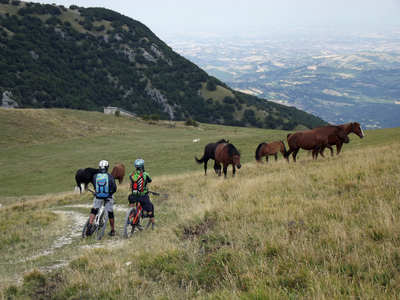 PIZZO 3 VESCOVI 12 08 2015 266