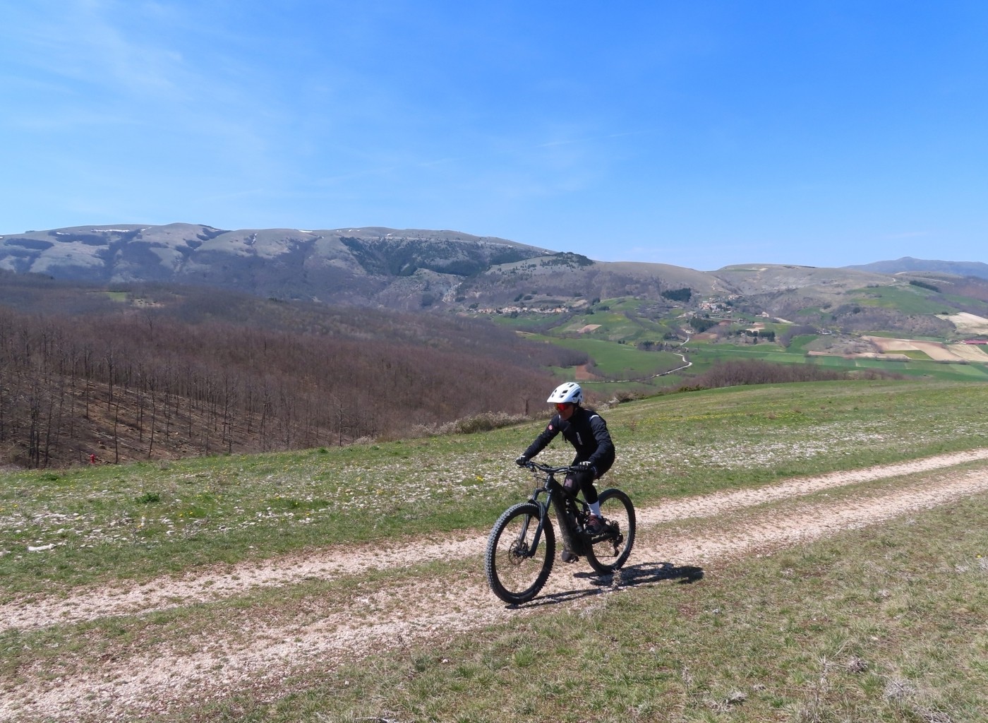 RASIGLIA (76)