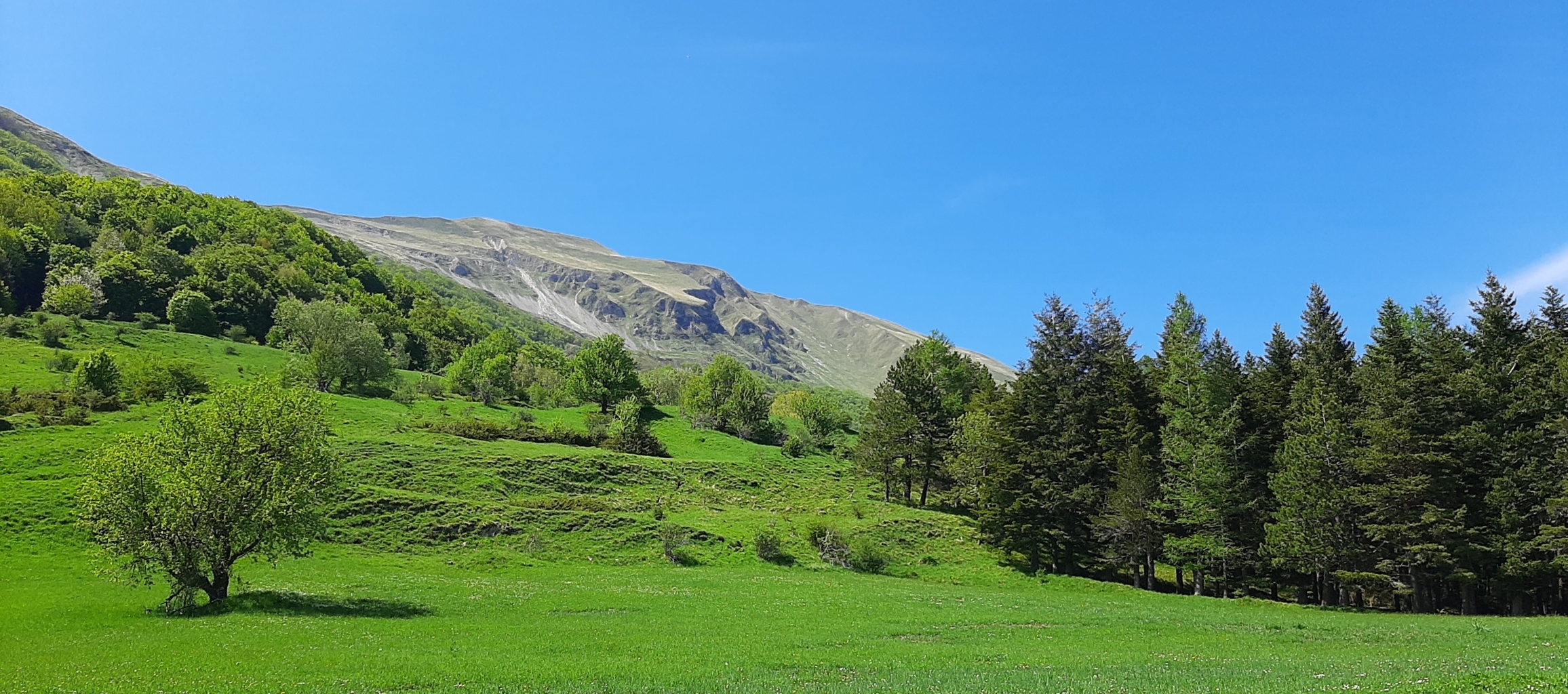 BANDITELLO 14 05 2022 (39)