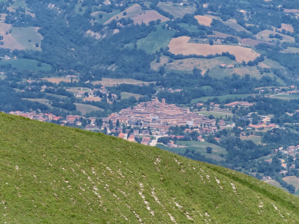 PORTE DI BERRO 12 06 2022 (20)