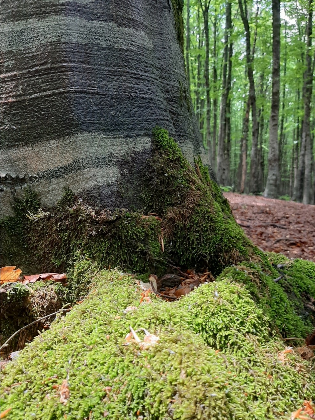 macera della morte 11 06 2022 (4)