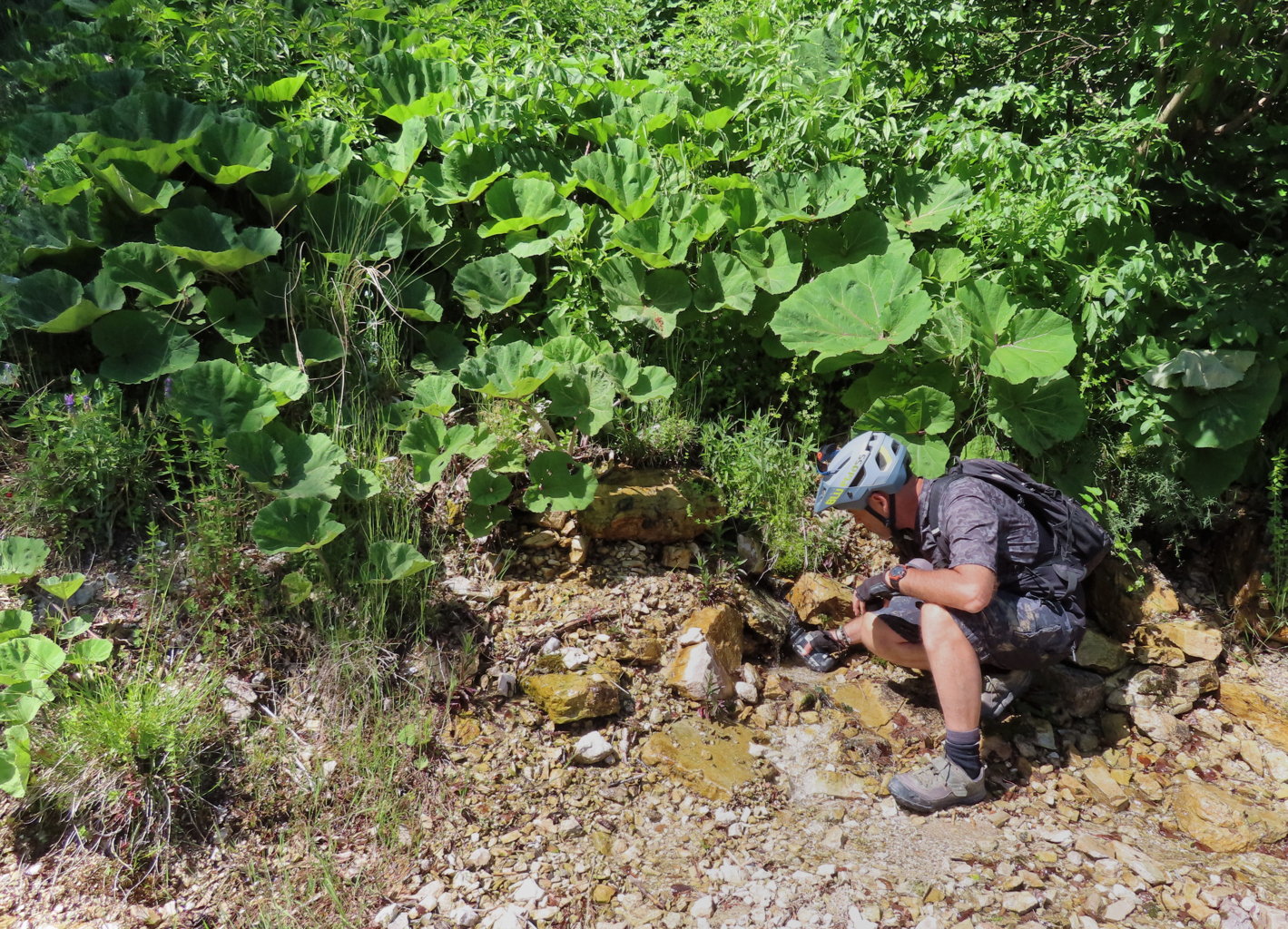 valle dell'ambro 12 06 2022 (48)