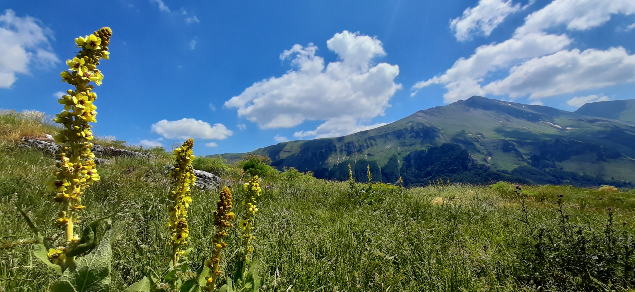 valle dell'ambro 12 06 2022 (5)