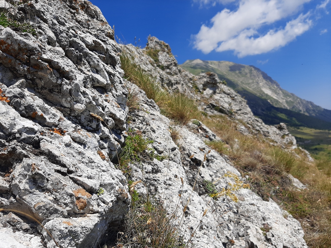 grande anello dei sibillini 02 03 2022 (46)